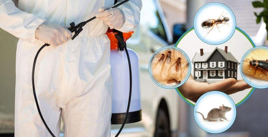 Sarız Böcek İlaçlama