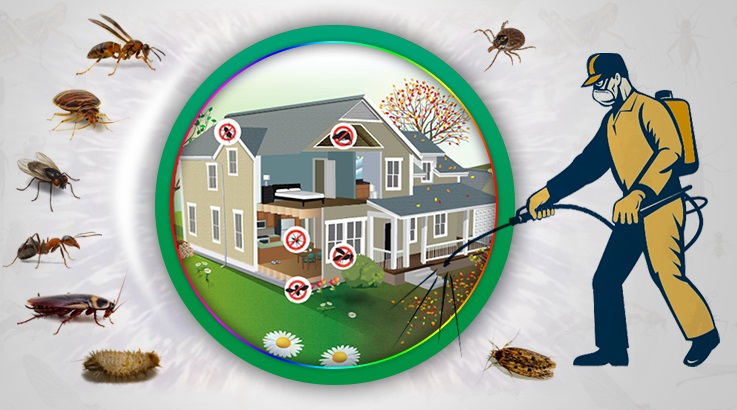 Sarız Böcek İlaçlama