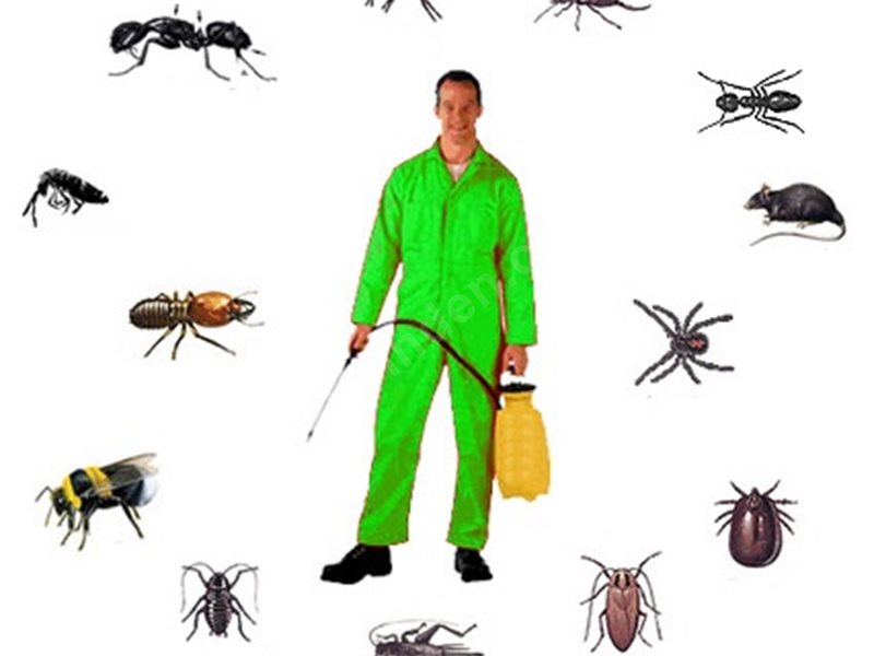 Sarız Böcek İlaçlama